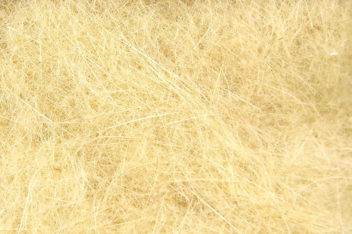 Creamy tan hare fur dubbing with fine, wispy fibers and fuzzy texture for fly tying