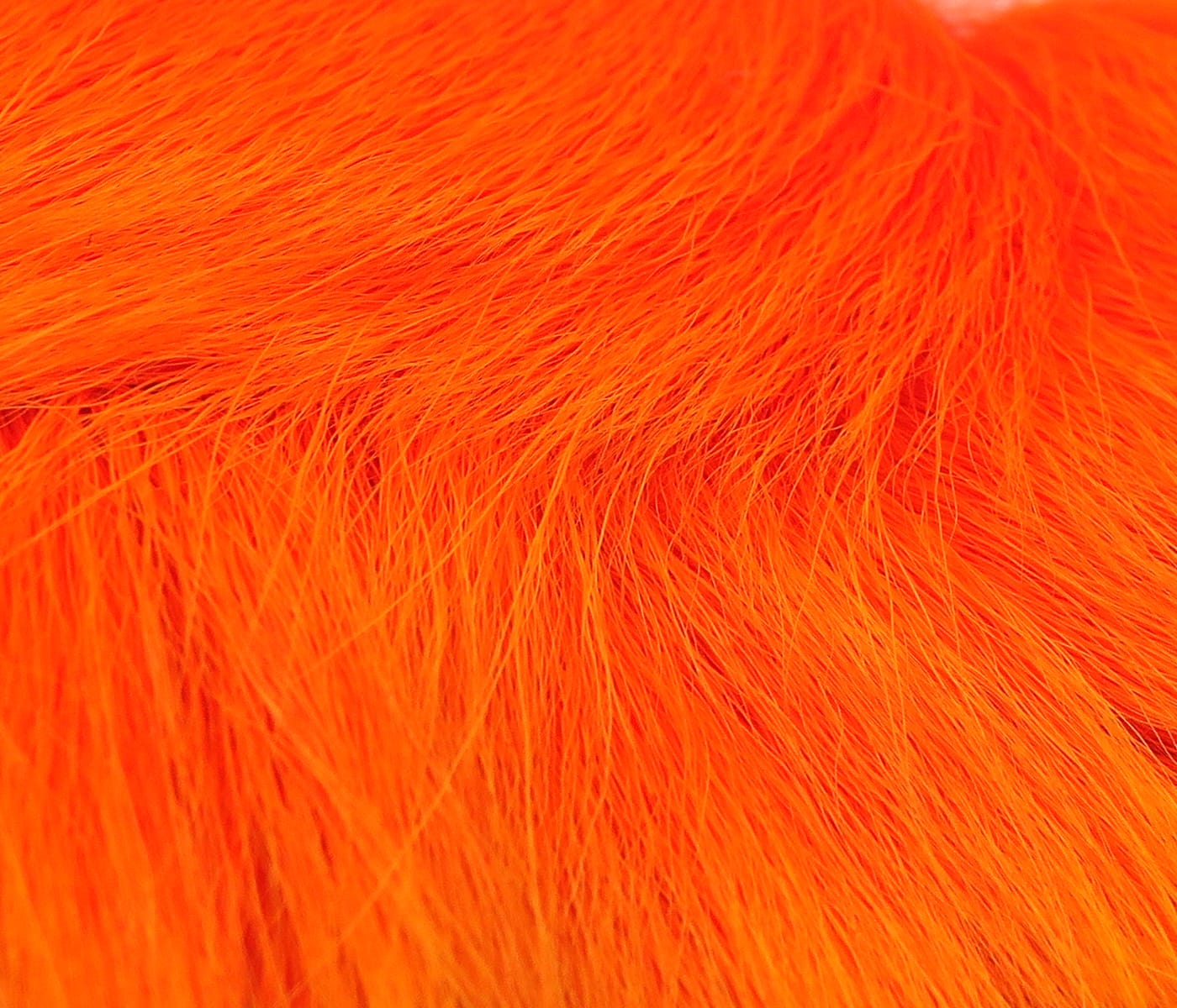Bright fluorescent orange Hareline dyed deer belly hair close-up showing soft fine fibers for fly tying