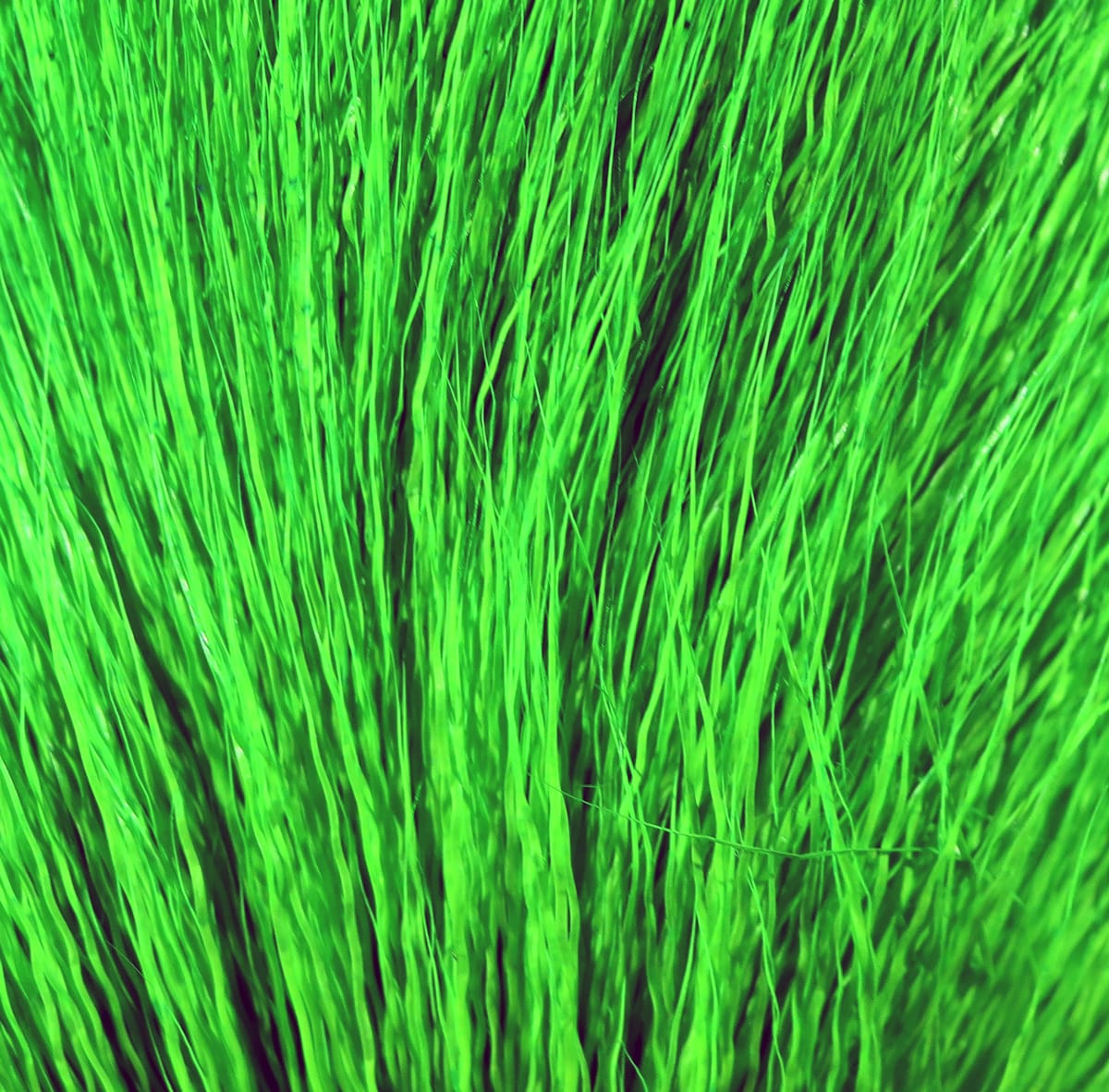 Bright neon green Hareline dyed deer belly hair, long fine glossy strands for fly tying