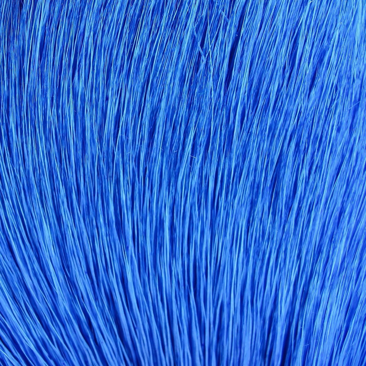 Cobalt blue dyed deer belly hair, fine glossy fibers fanned for fly tying