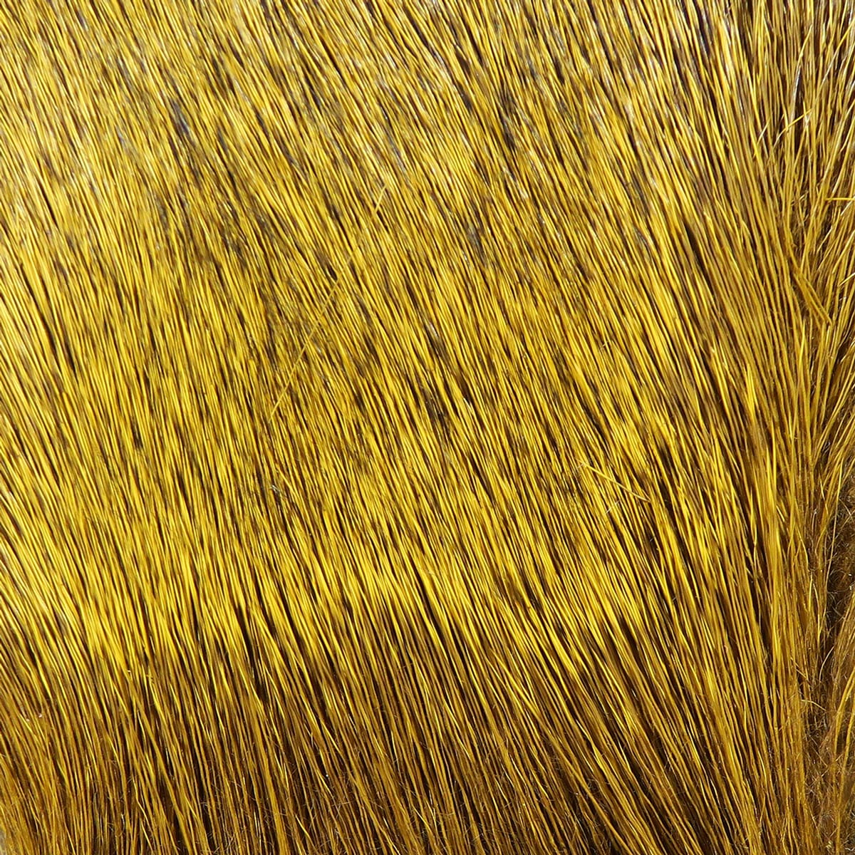 Dyed golden yellow deer body hair, fine glossy fibers aligned for fly tying, natural brown undertones