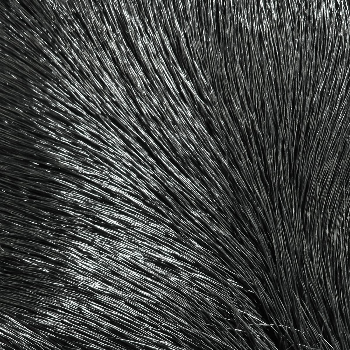 Shiny black dyed deer body hair, dense fanned strands for fly tying, natural tapered texture