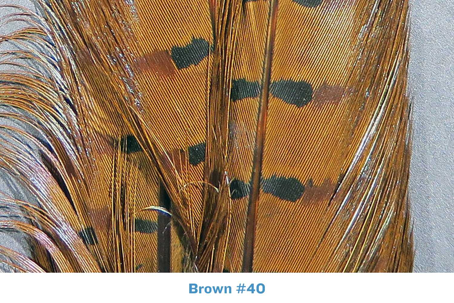 Hareline Dyed Ringneck Pheasant Tail Clump