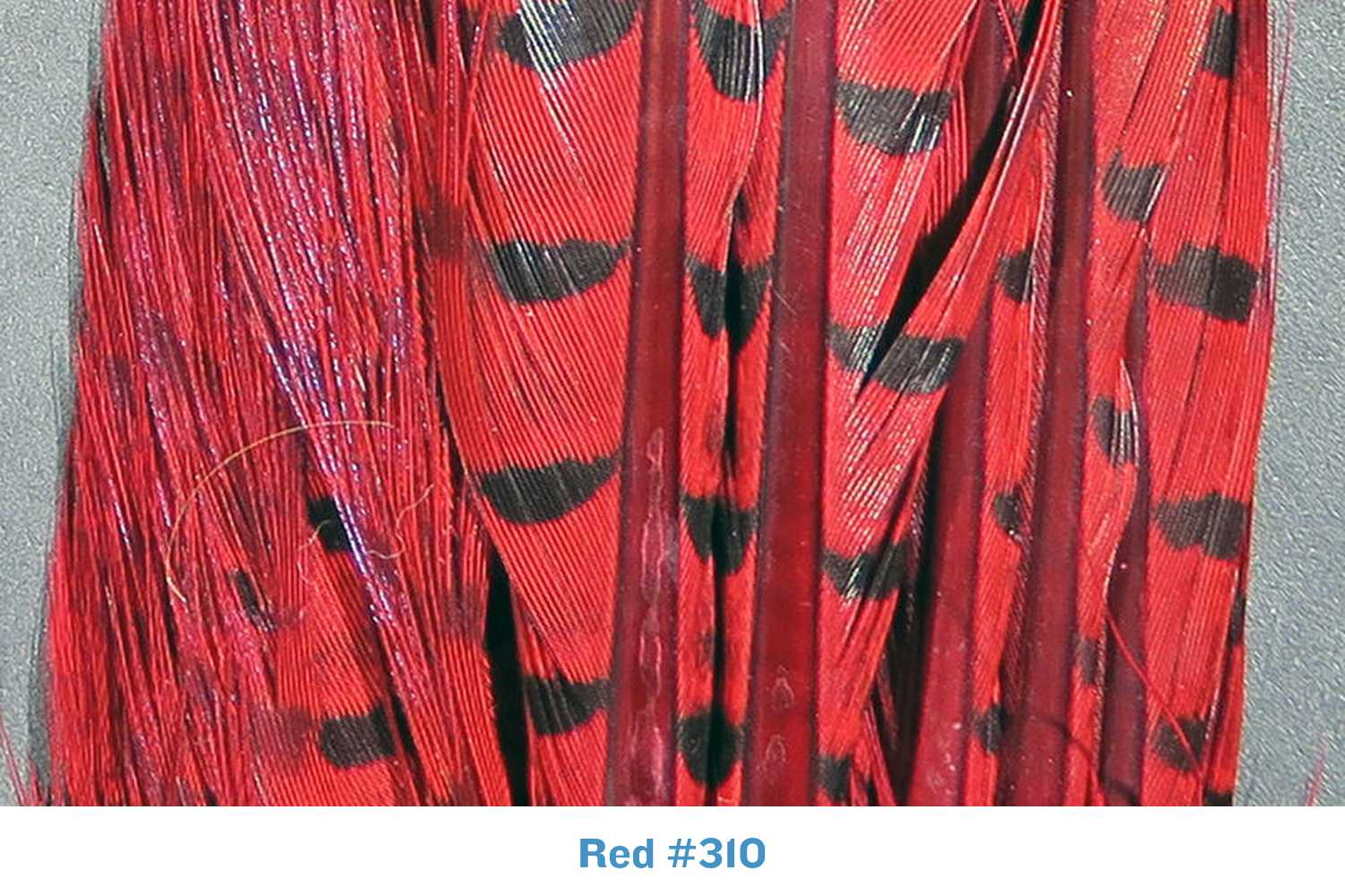 Hareline Dyed Ringneck Pheasant Tail Clump