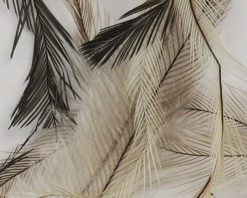 Hareline Emu Feathers