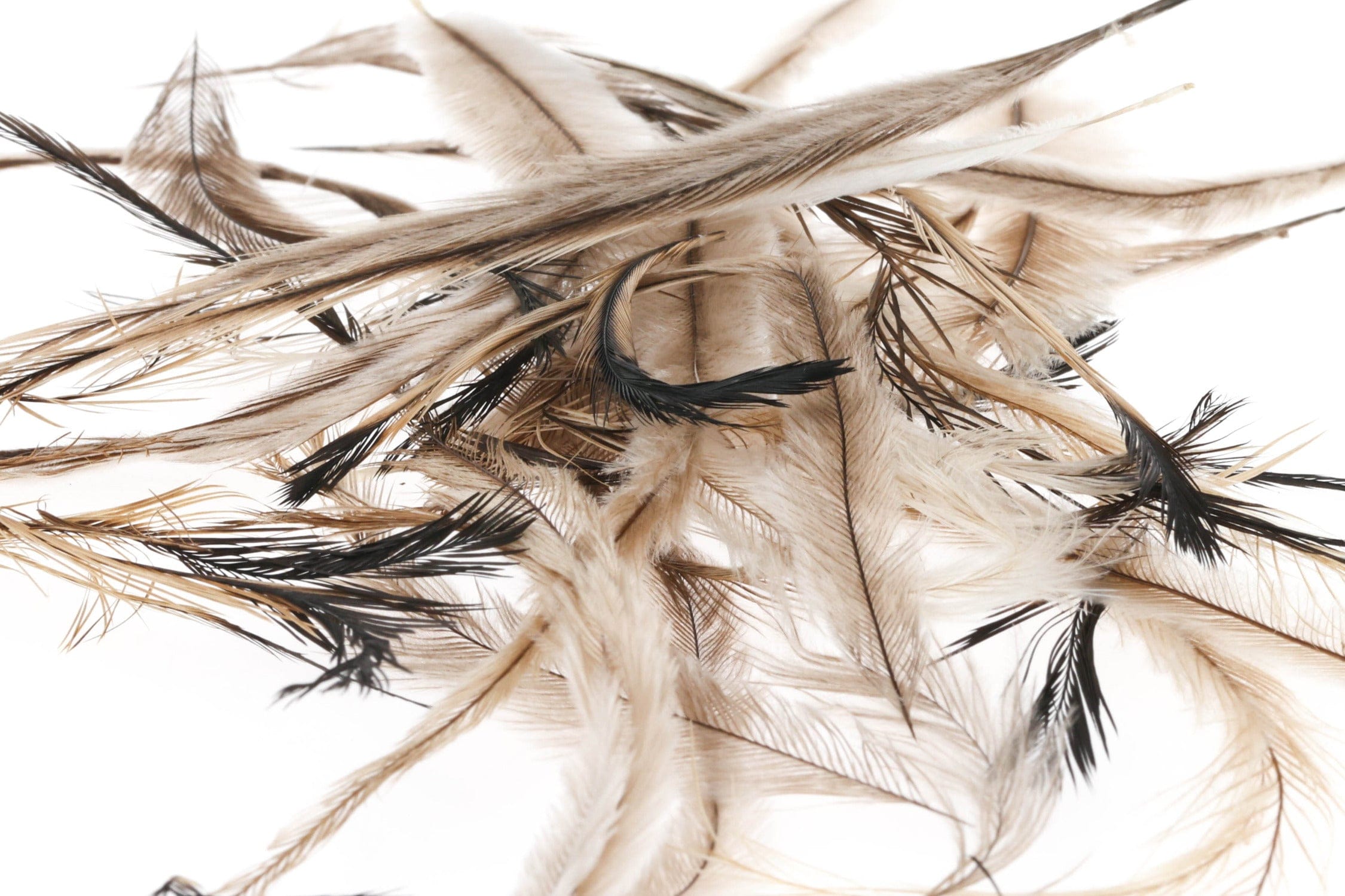 Hareline Emu Feathers