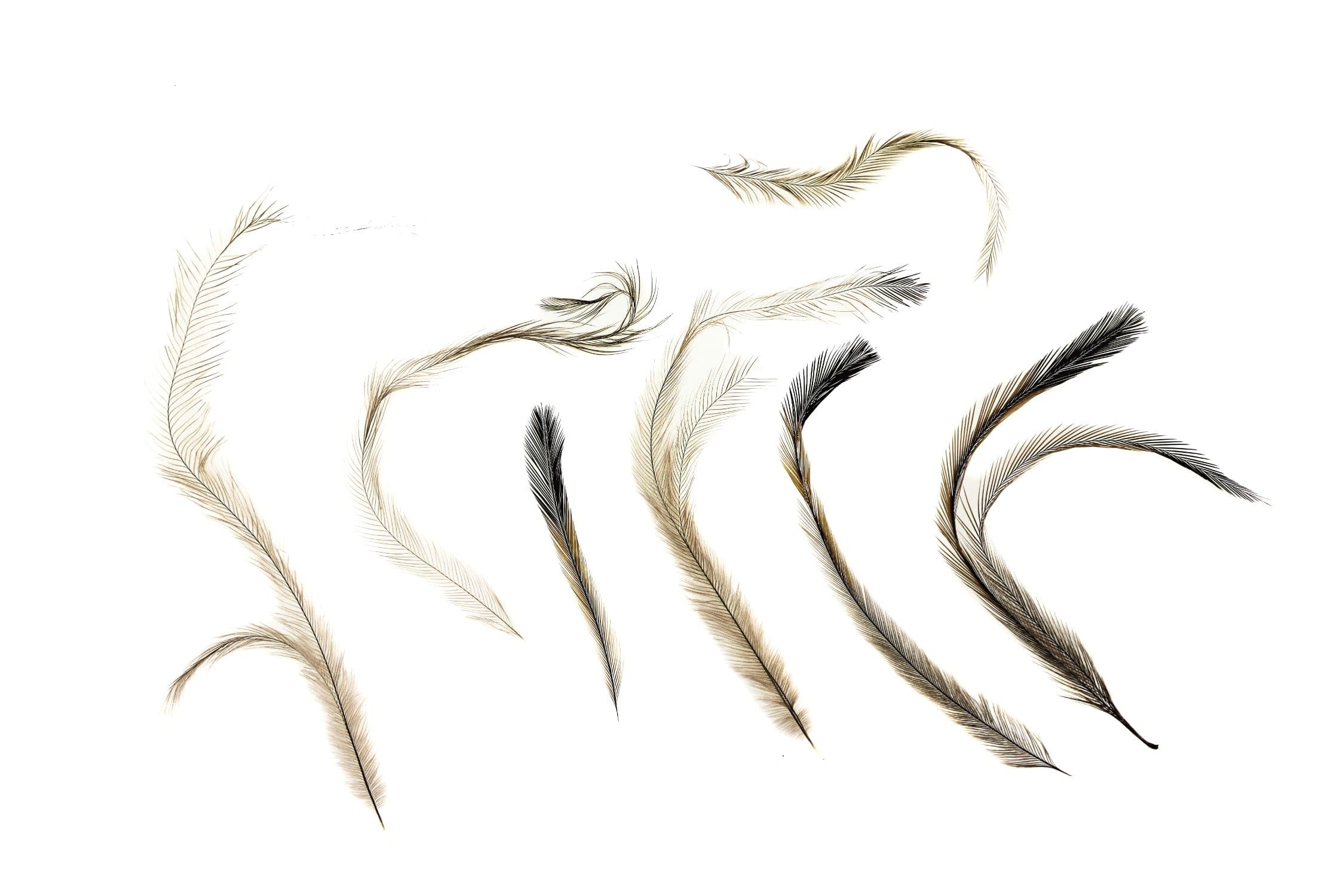 Hareline Emu Feathers