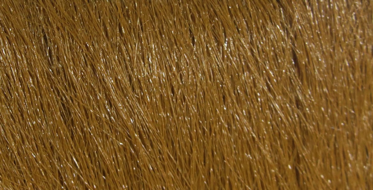 Hareline Extra Select craft fur, golden-brown fine glossy fibers, soft dense hair for fly tying