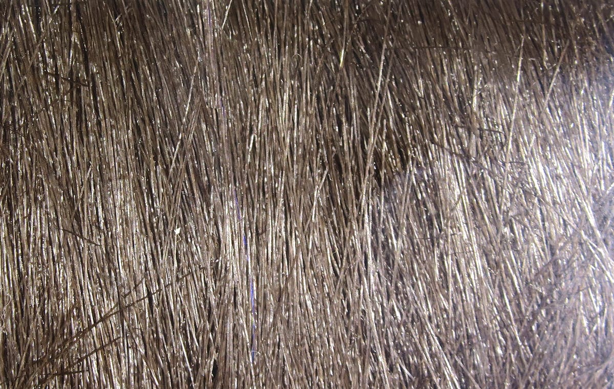 Brown Hareline Extra Select craft fur with long glossy fine fibers, textured natural-tone material for fly tying