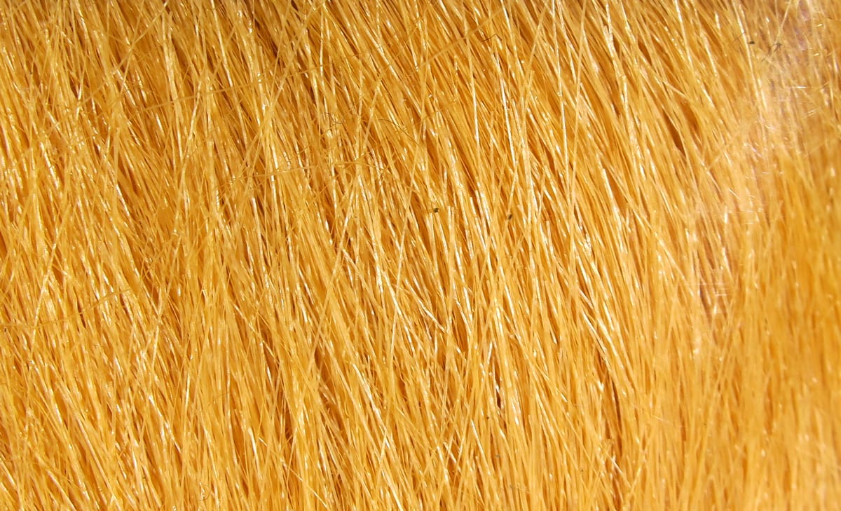 Golden-orange Hareline craft fur close-up showing long glossy fibers for fly tying