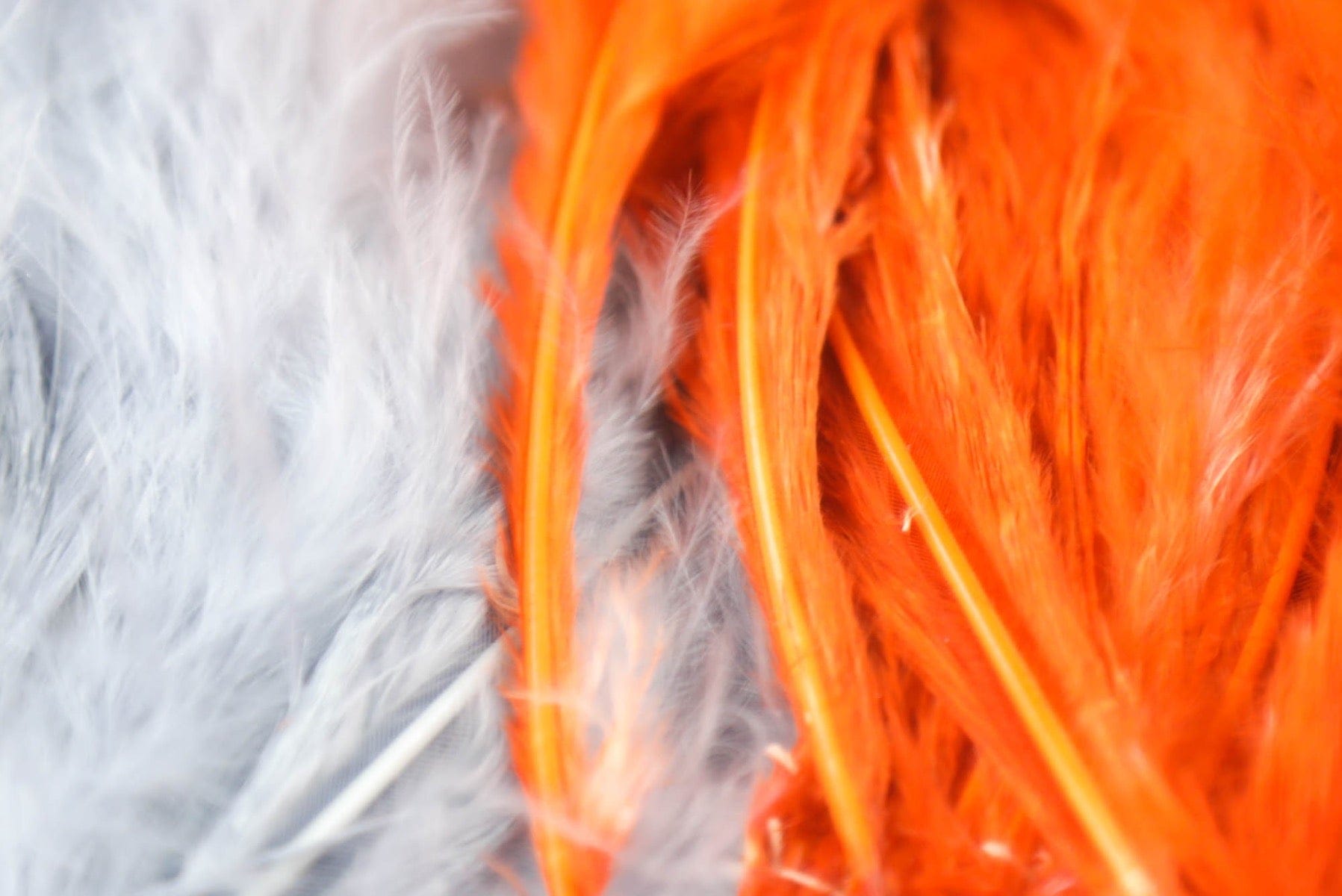 Hareline Extra Select Marabou Feathers