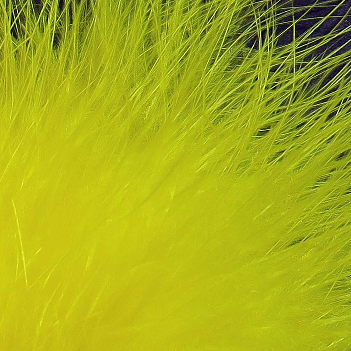 Bright yellow-green marabou feathers with soft fluffy barbs and wispy tips for fly tying