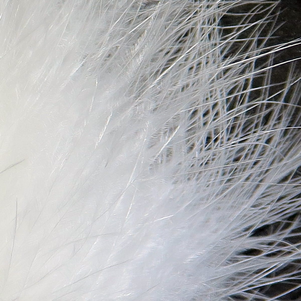 White Hareline marabou feathers, soft wispy plumes and fluffy fibers for fly tying