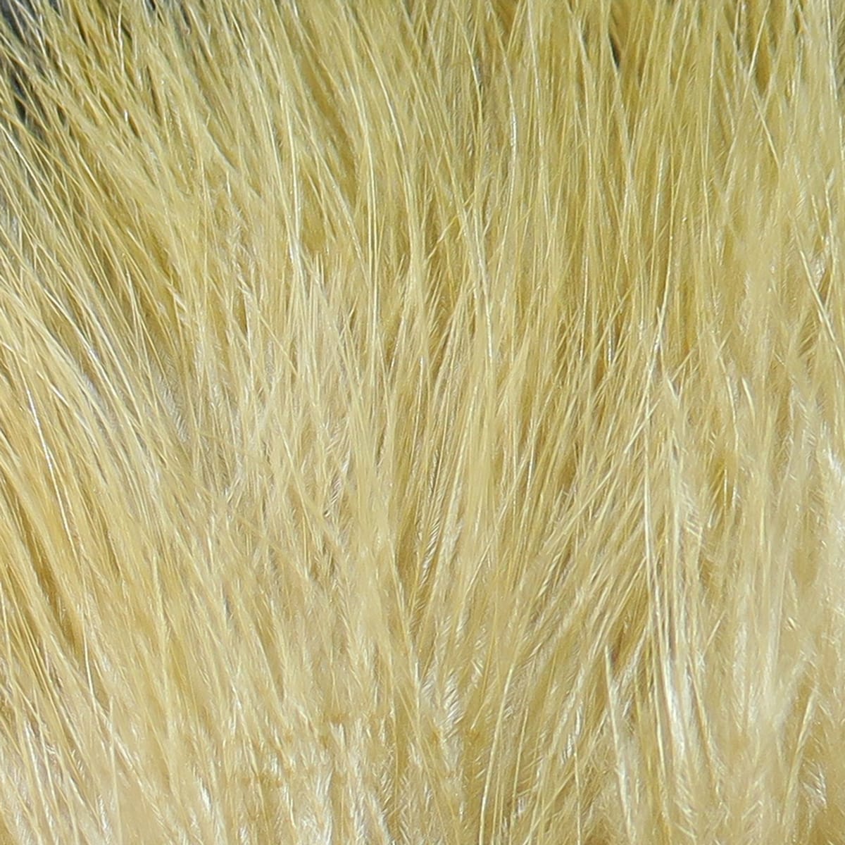 Pale tan Hareline marabou feathers, soft silky plumes with fine wispy fibers for fly tying