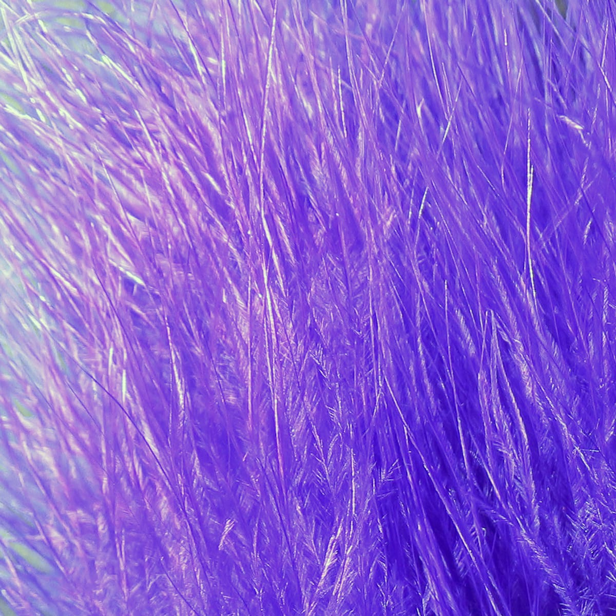 Vibrant purple marabou feathers, soft fluffy wisps with long filaments for fly tying and lures