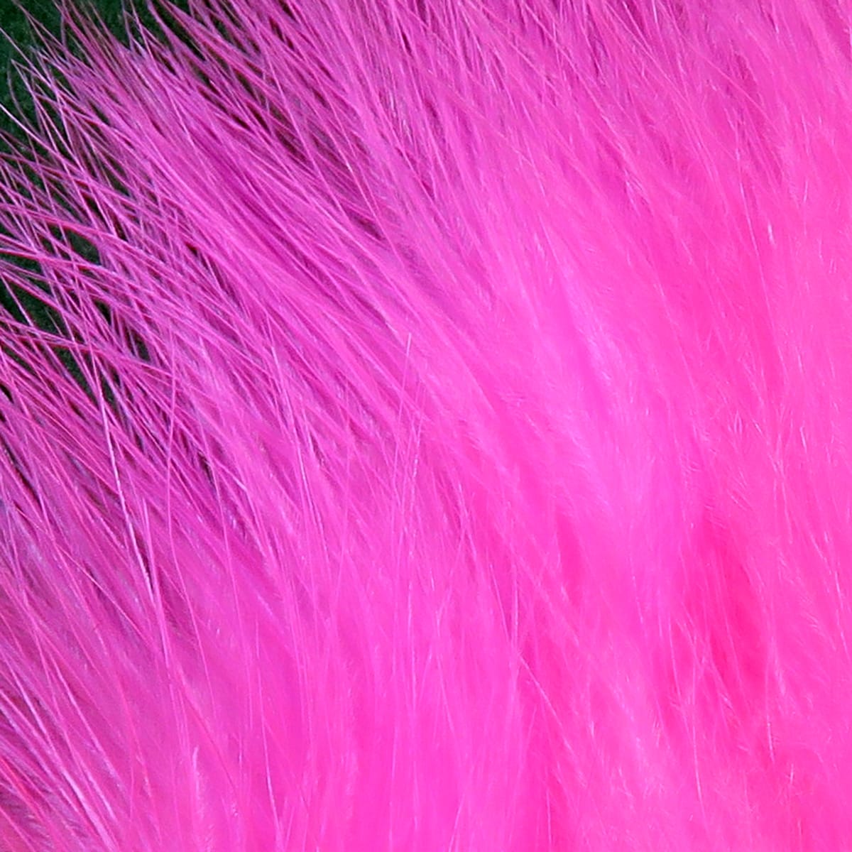 Bright hot pink Hareline marabou feathers with soft, wispy barbs and long filaments for fly tying