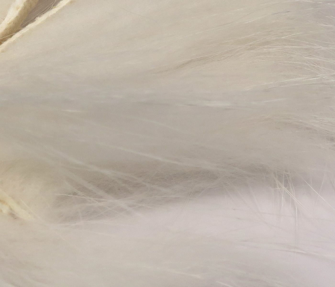 Pale cream raccoon zonker strip with long silky fur and fine guard hairs for fly tying