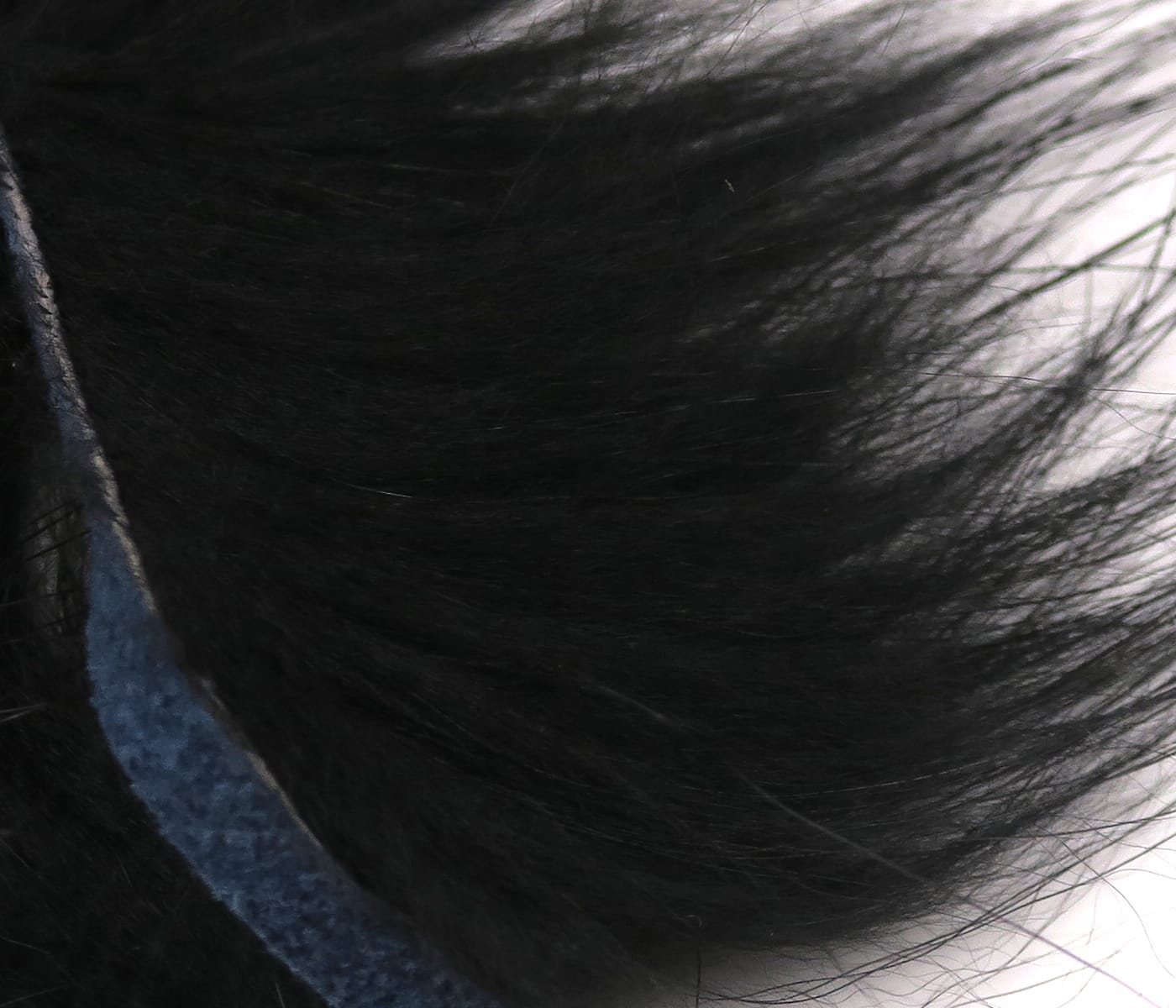 Black Finn raccoon zonker strip with dense soft guard hairs and blue suede backing for fly tying