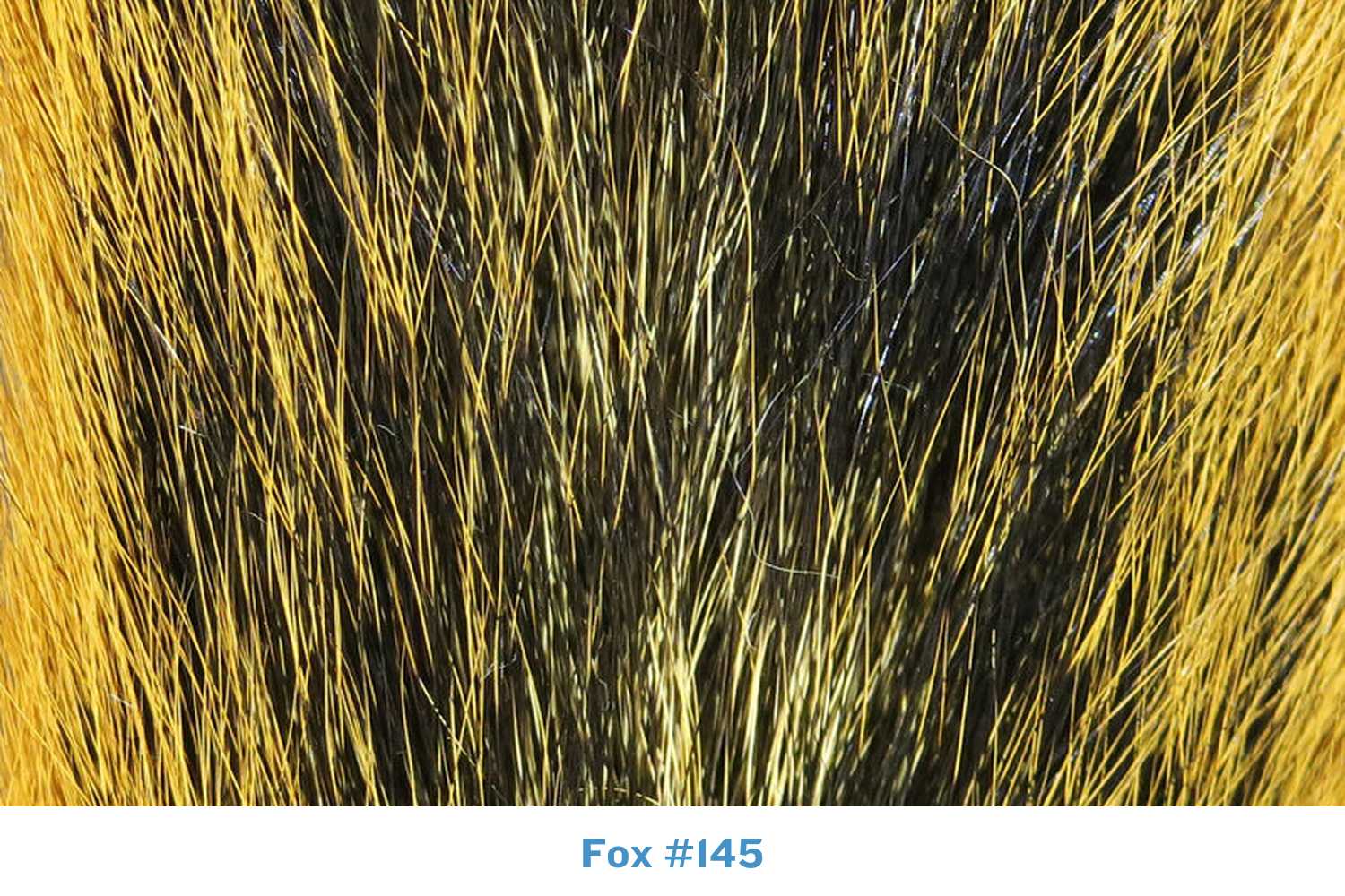 Hareline fox squirrel tail, golden yellow and black coarse guard hairs, natural fur for fly tying