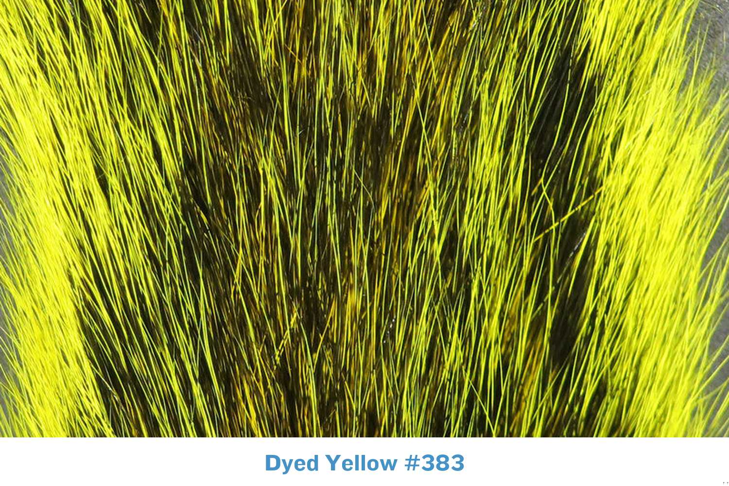 Dyed yellow fox squirrel tail with neon yellow guard hairs and dark brown underfur, long natural fur for fly tying
