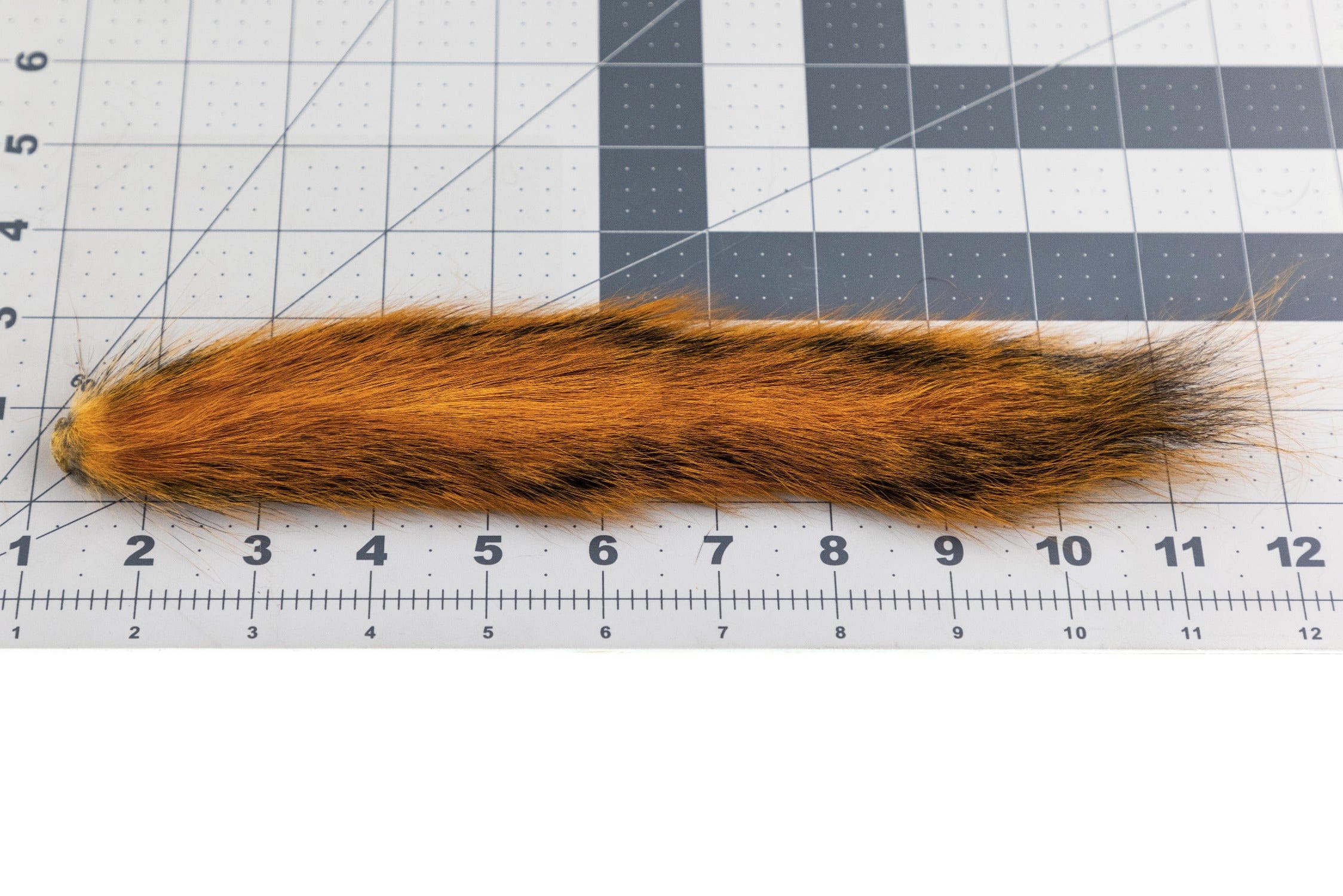 Fox squirrel tail strip, long orange-brown fur with dark guard hairs for fly tying