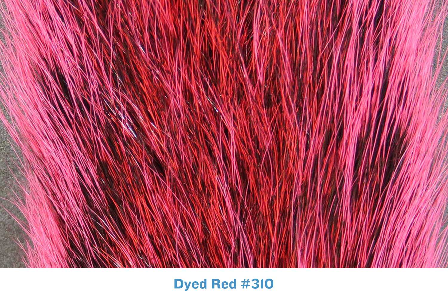 Dyed red fox squirrel tail fur for fly tying, long glossy red and pink guard hairs with dark underfur