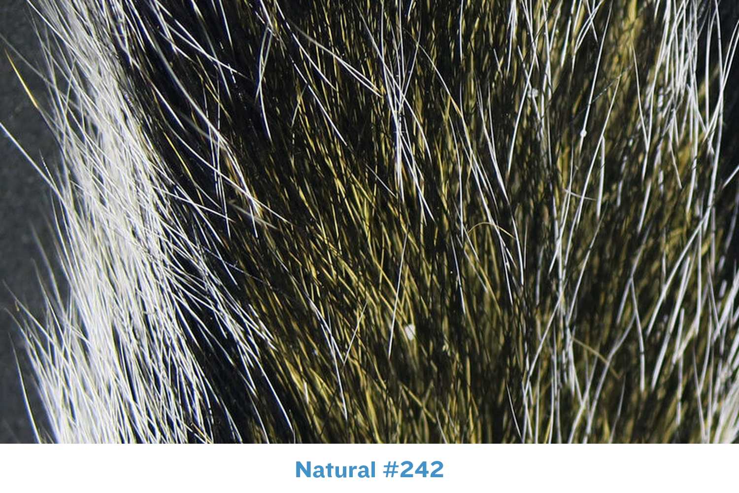 Hareline fox squirrel tail for fly tying, close-up natural olive-brown fur with silver-white guard hairs