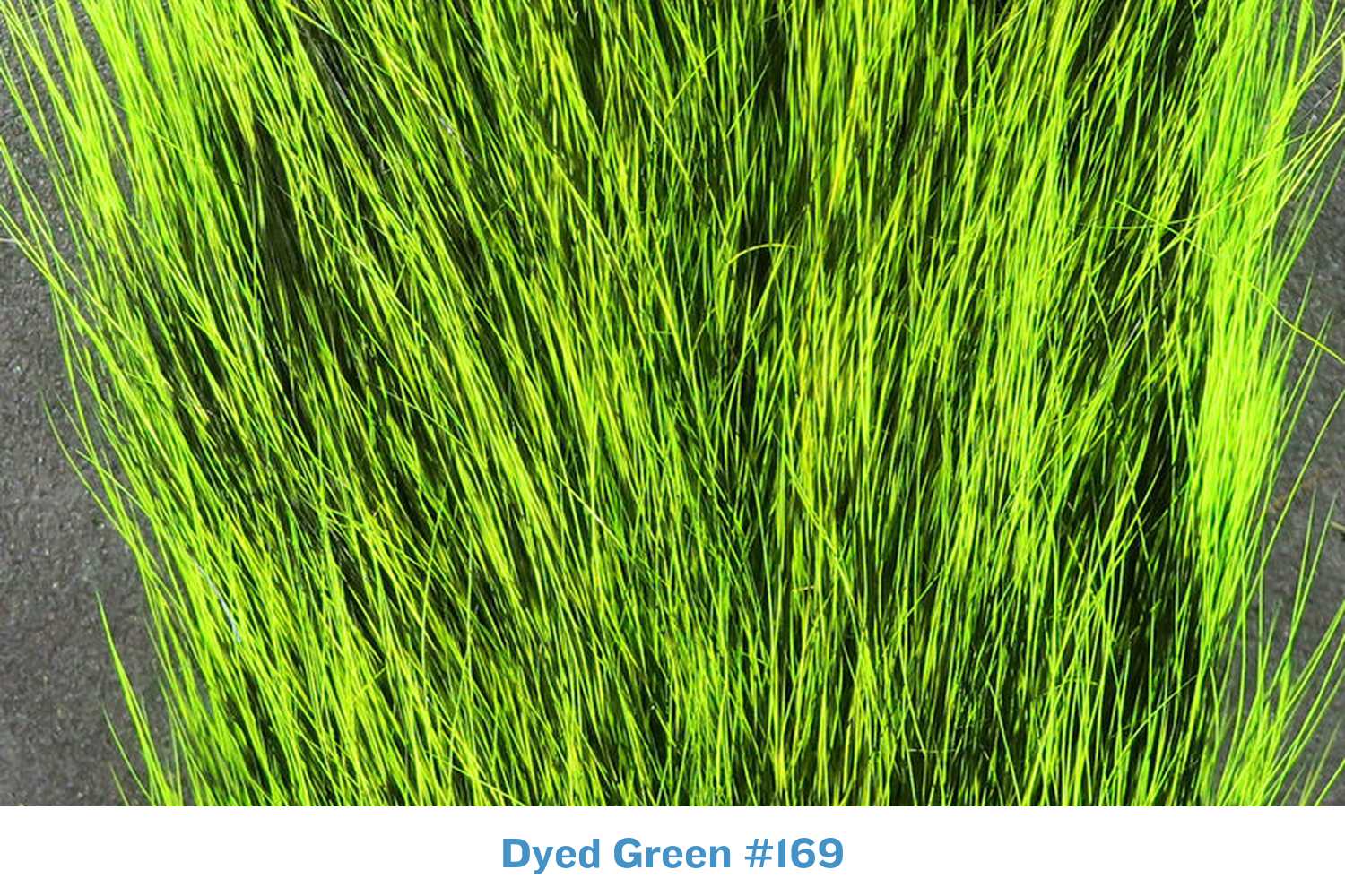 Dyed neon green Hareline fox squirrel tail with long fine guard hairs for fly tying