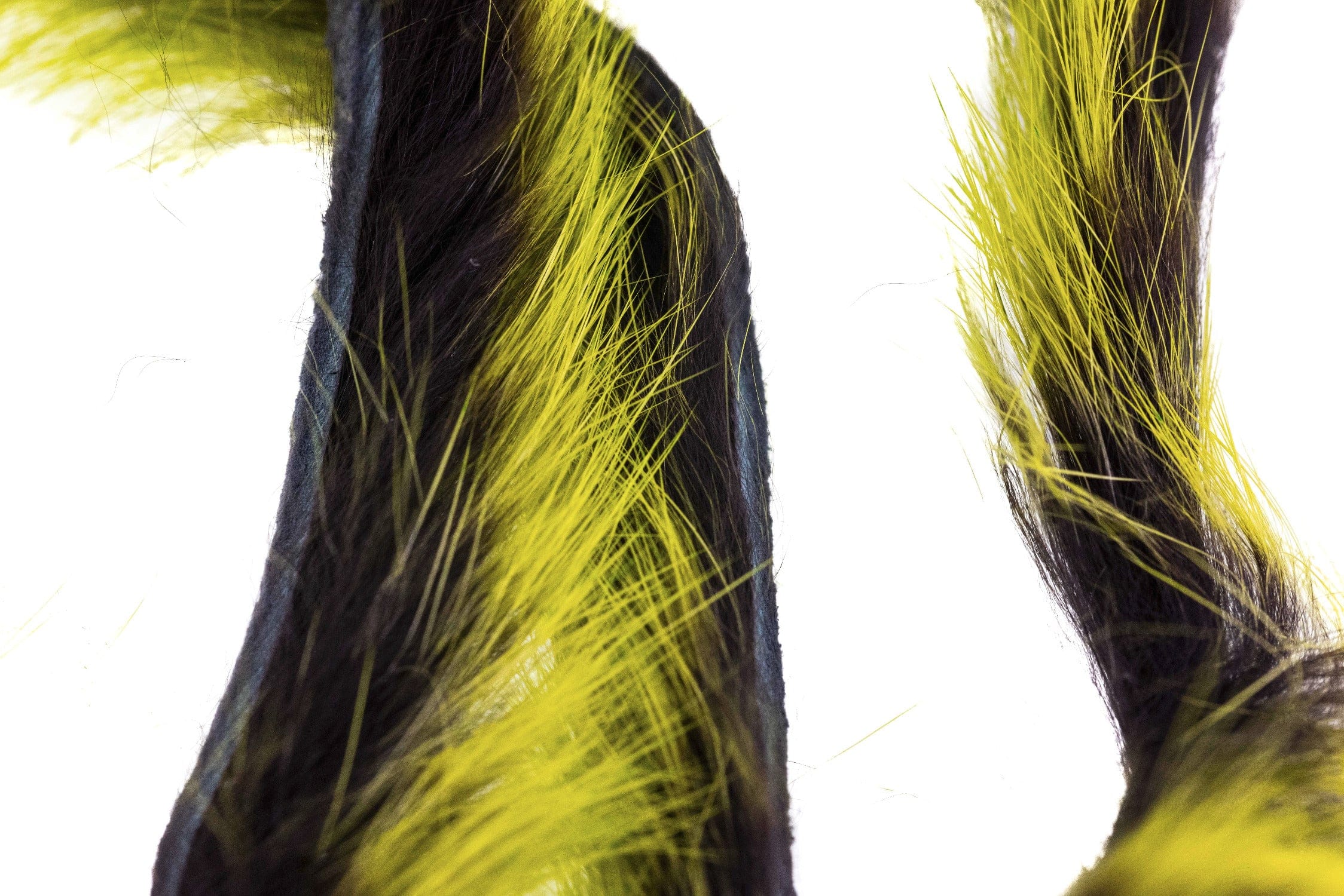 Black rabbit fur strips with bright chartreuse yellow-tipped guard hairs, long narrow strips for fly tying