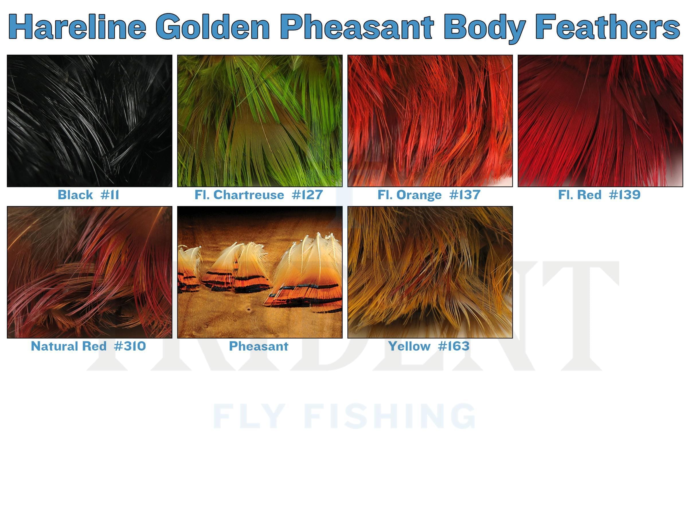 Hareline Golden Pheasant Body Feathers