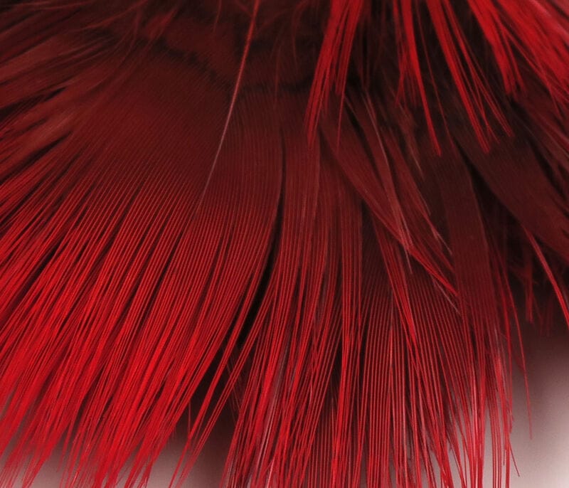 Hareline golden pheasant body feathers dyed deep red, long glossy barbs layered for fly tying and lure making