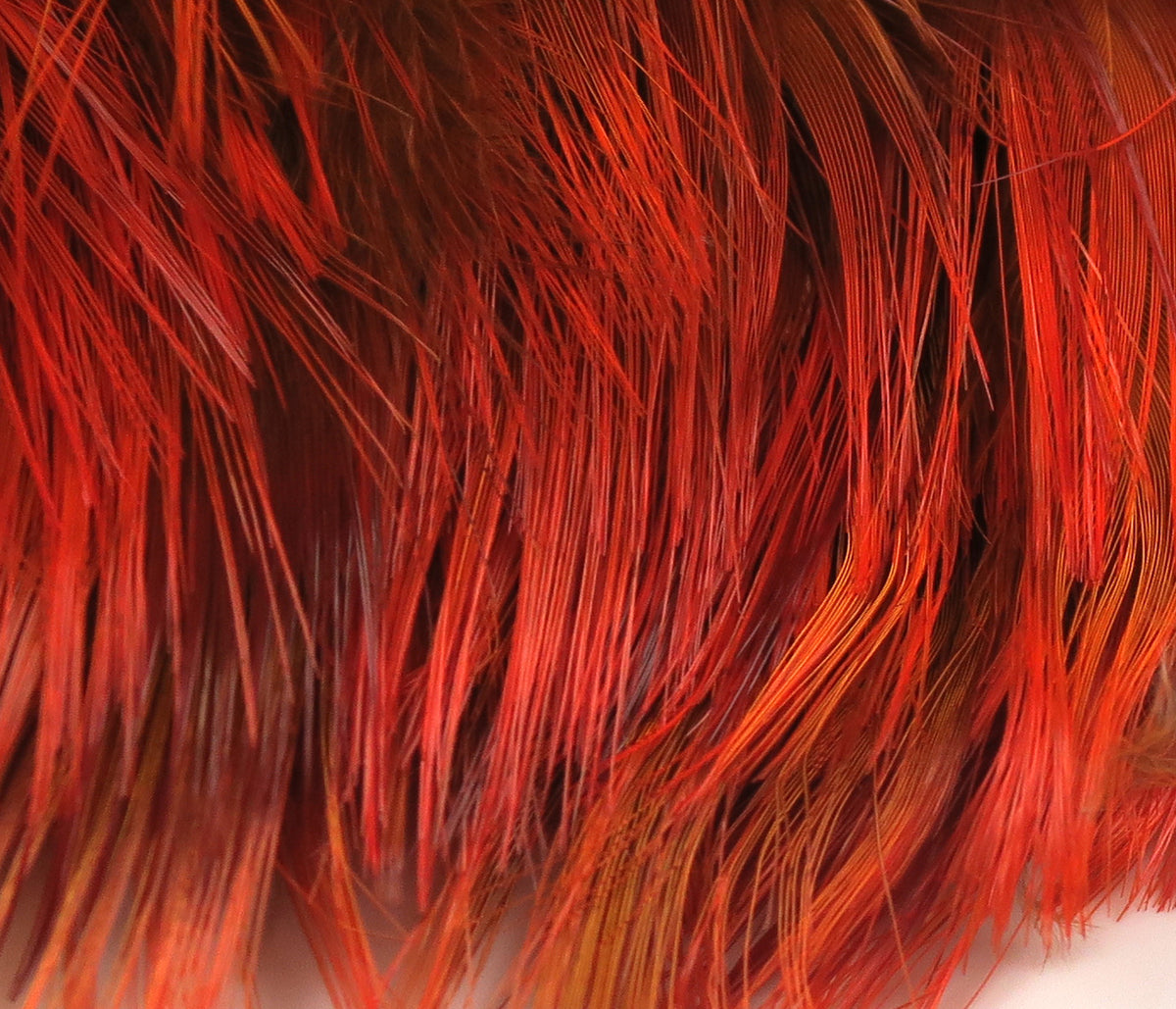 Golden pheasant body feathers in vibrant orange-red hues, fine glossy barbs ideal for fly tying and lure materials