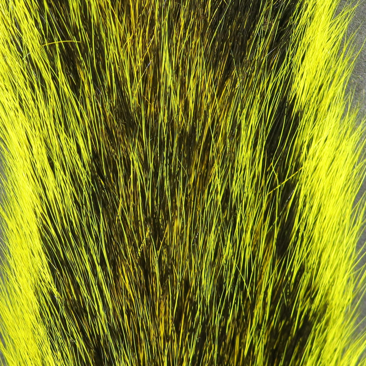 Hareline gray squirrel tails dyed chartreuse with dark brown guard hairs, long natural fur for fly tying