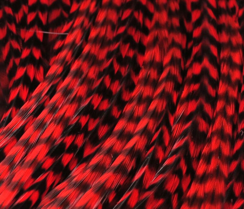 Red and black grizzly saddle feathers with chevron-like black barring, glossy half saddle for fly tying