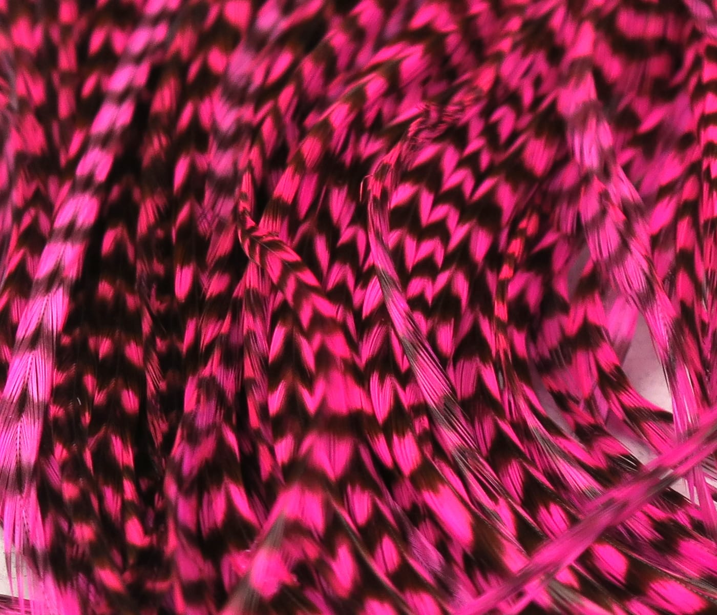 Hareline grizzly half saddle hot pink and black barred saddle feathers for fly tying
