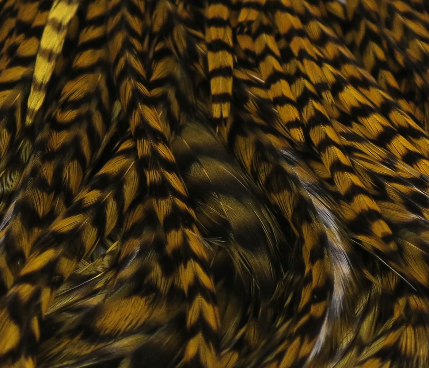 Hareline grizzly half saddle glossy golden-brown and black barred saddle hackle, ideal for fly tying