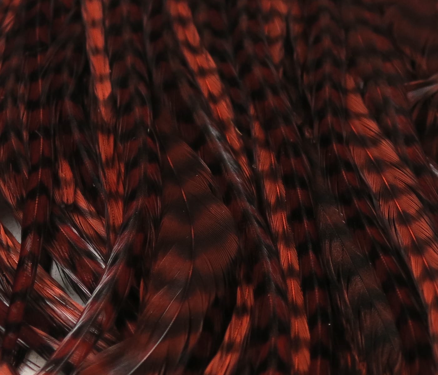 Hareline grizzly half saddle glossy reddish-brown and black barred rooster feathers for fly tying