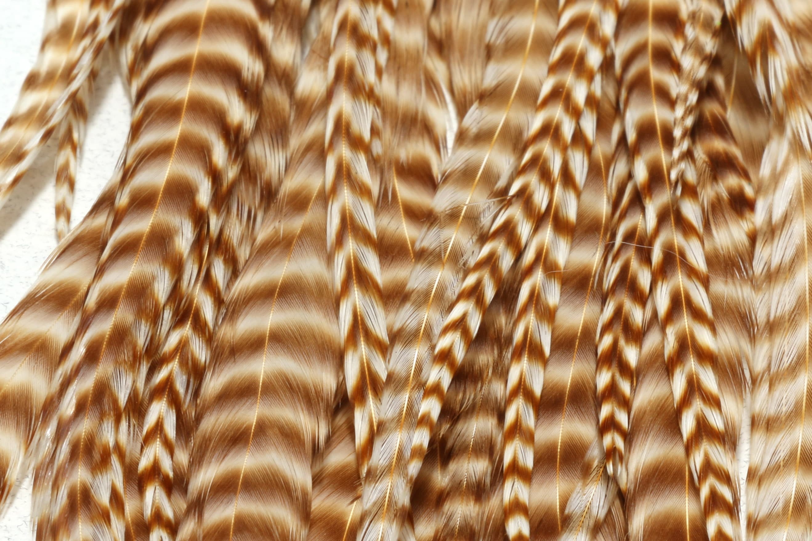 Hareline grizzly half saddle brown and white barred rooster hackle feathers, glossy natural saddle for fly tying