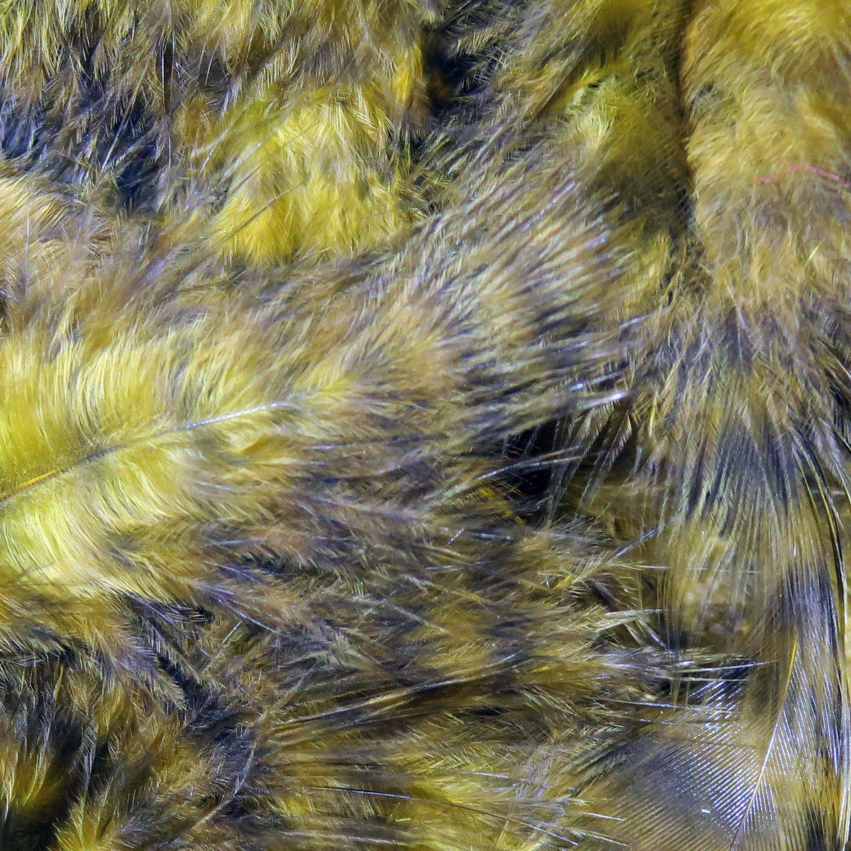 Grizzly marabou feathers in olive-yellow and brown with soft, fluffy barred fibers for fly tying
