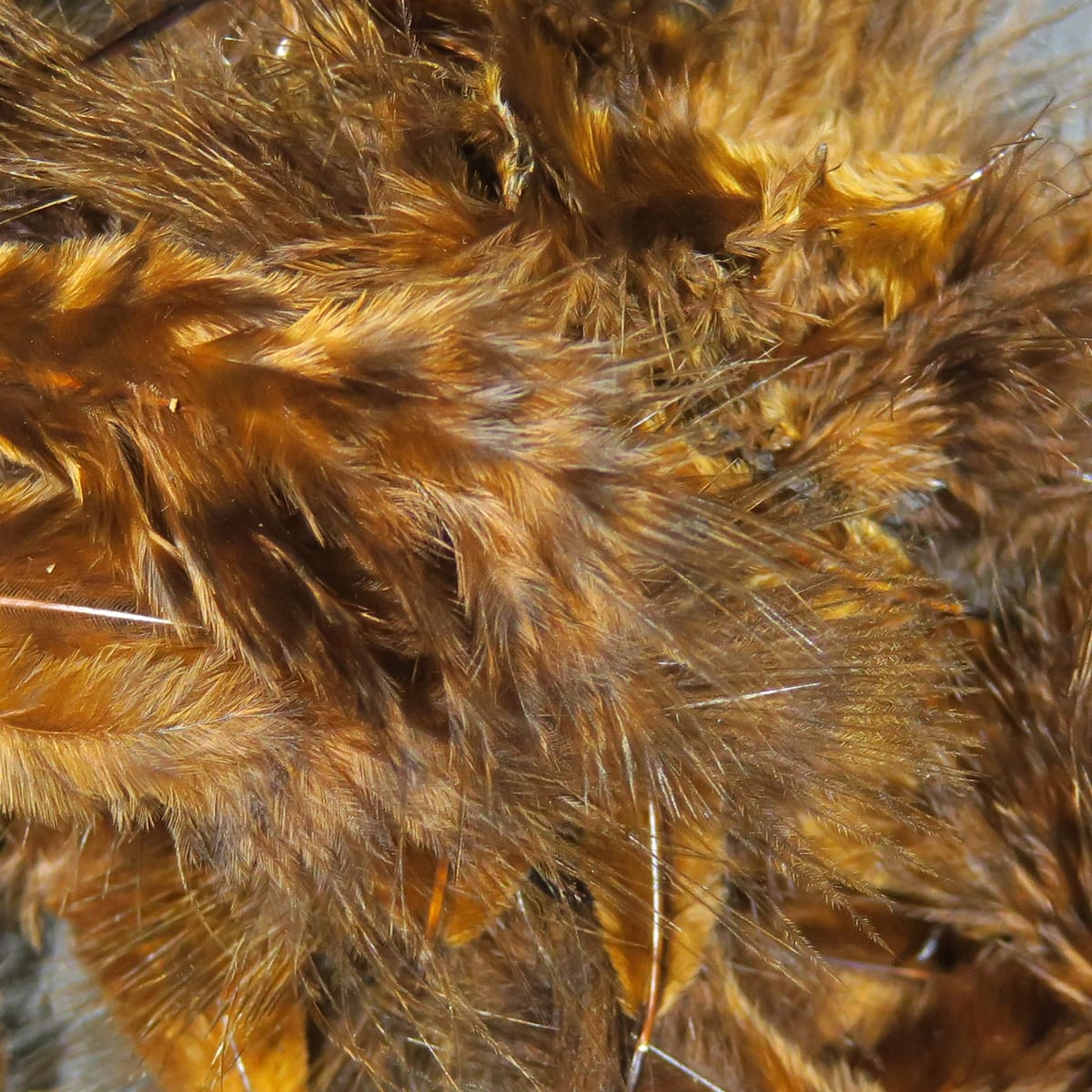 Grizzly marabou feathers, fluffy wispy brown and tan fibers for fly tying