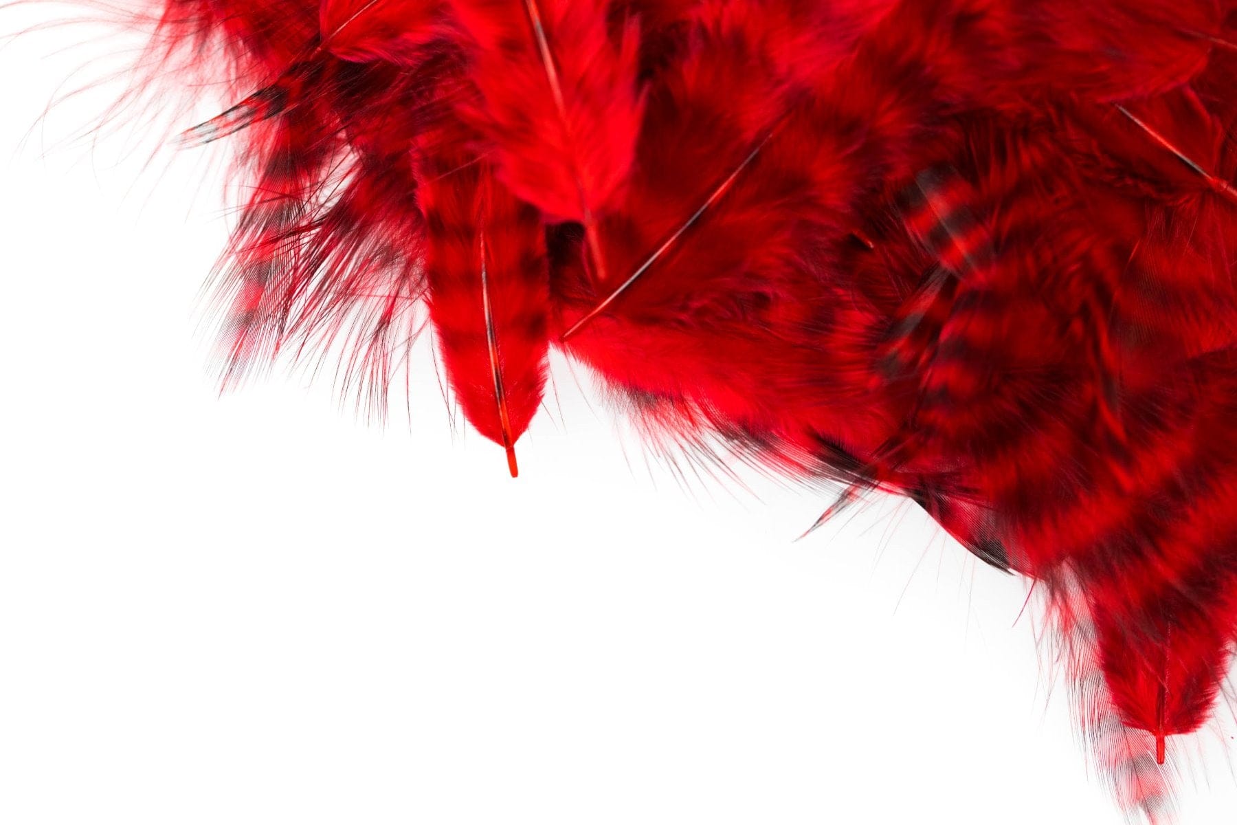 Hareline Grizzly Soft Hackle