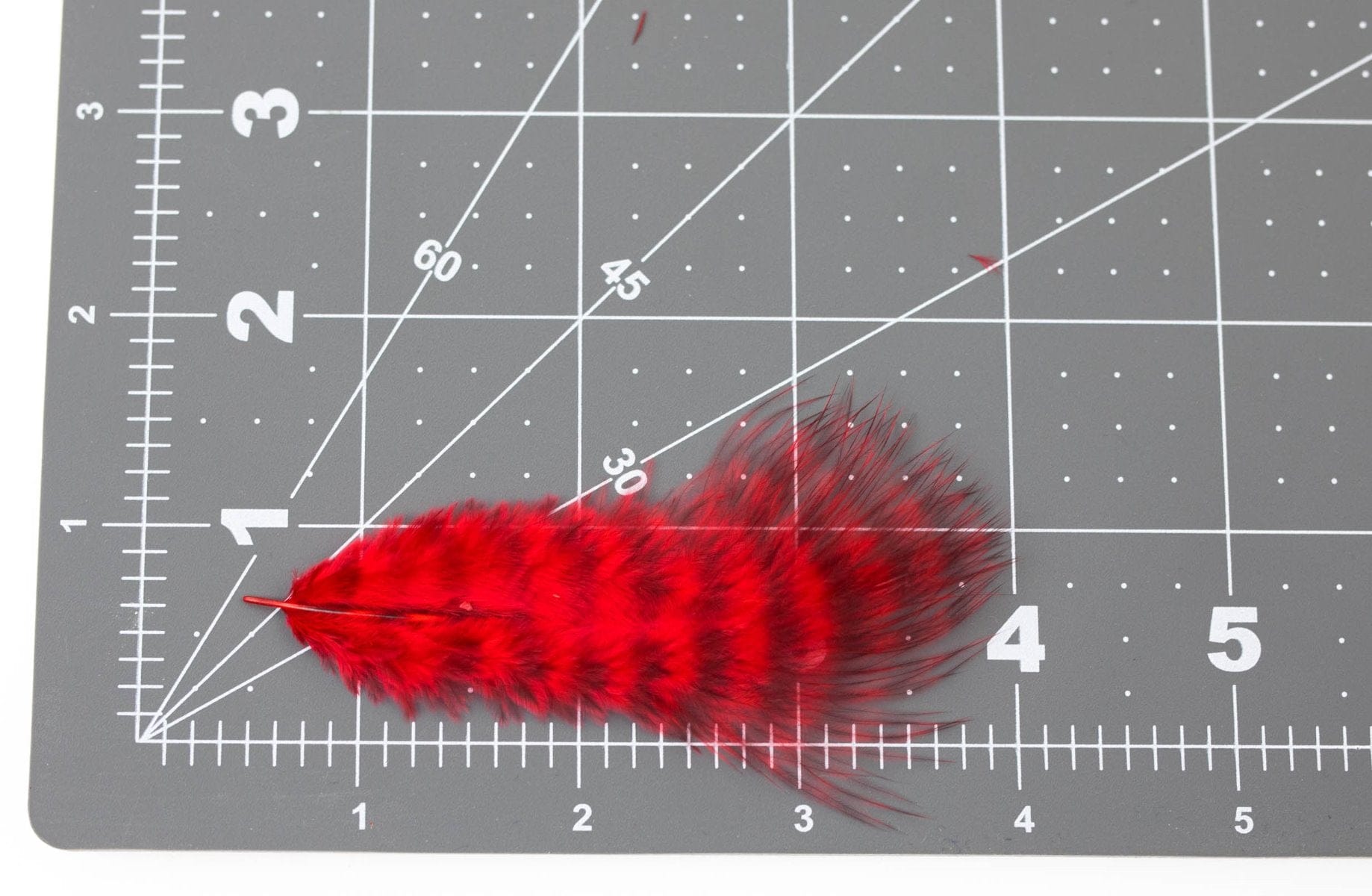 Hareline Grizzly Soft Hackle