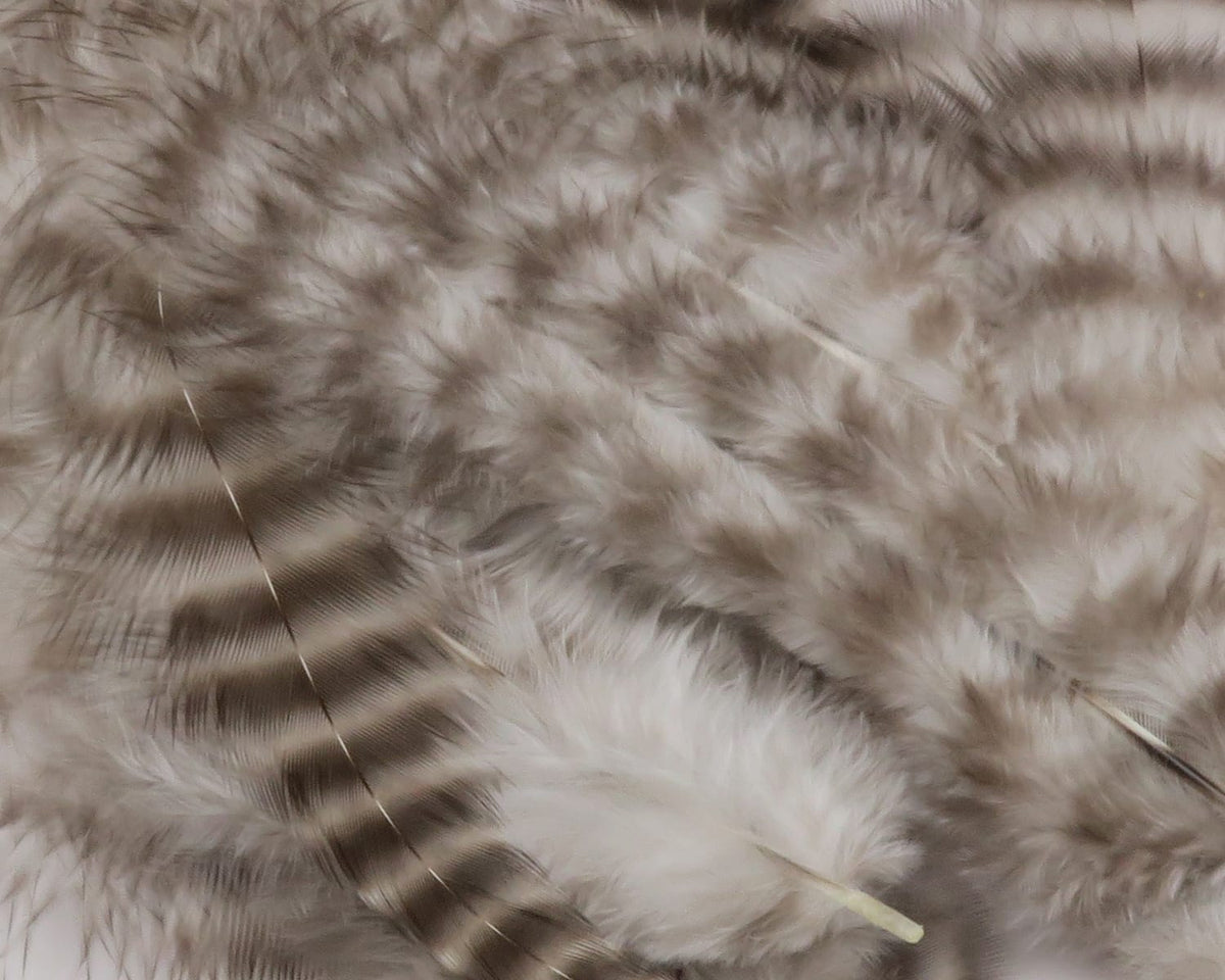 Grizzly soft hackle feathers, pale brown and cream barred plumes with fluffy marabou-like texture for fly tying