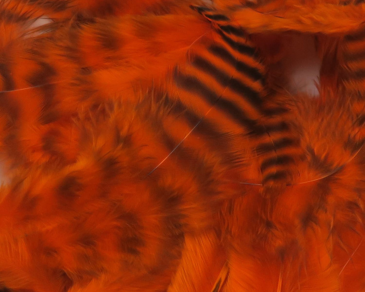 Bright orange grizzly soft hackle feathers with black barring, fluffy fly tying material by Hareline