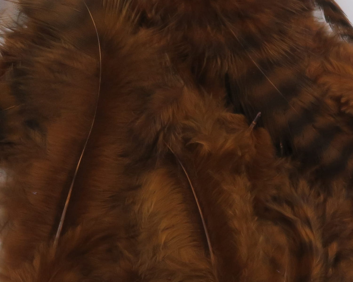 Brown grizzly soft hackle feathers with dark barring, fluffy fibers and long slender stems for fly tying