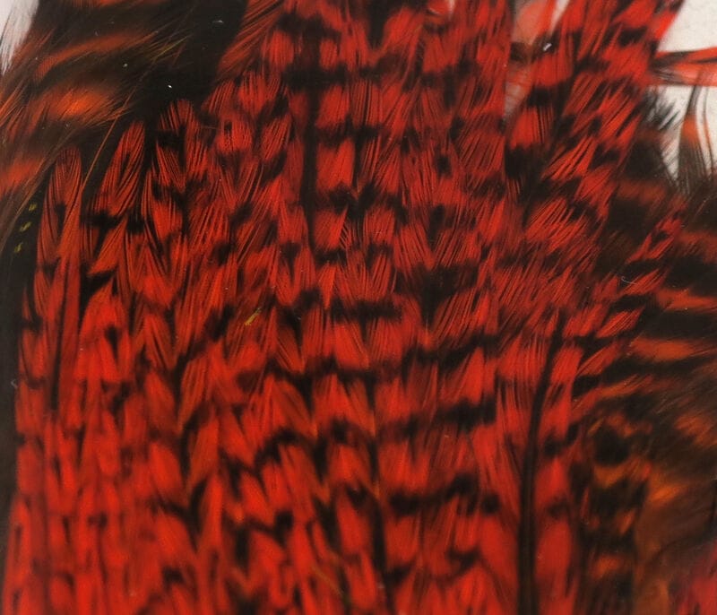 Hareline red and black barred half rooster capes, glossy hackle feathers for fly tying
