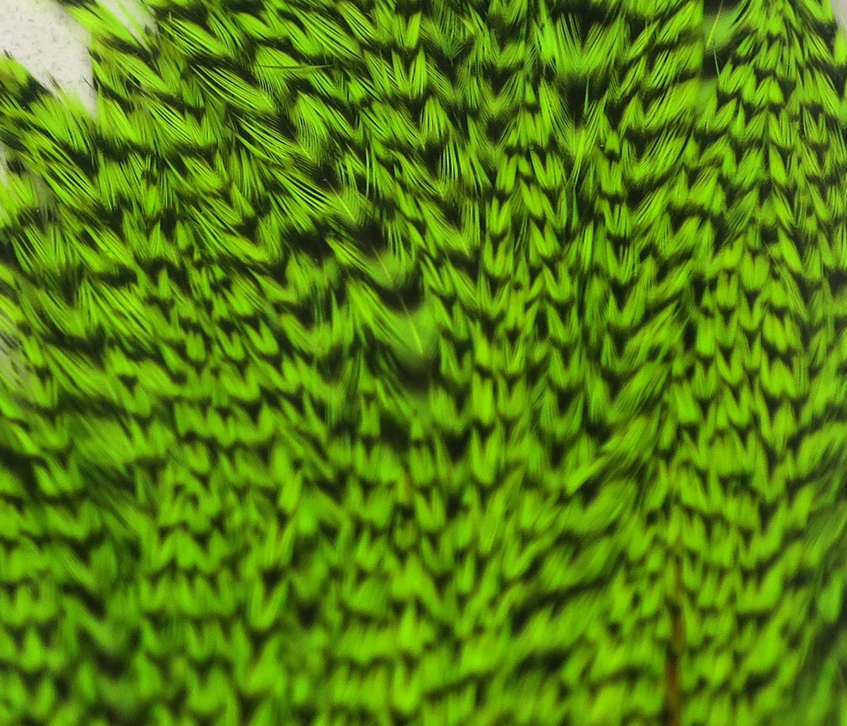 Chartreuse and black barred rooster cape feathers with dense grizzly pattern for fly tying