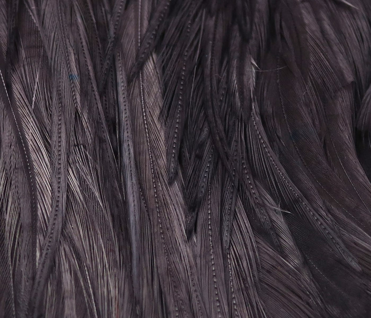 Dark brown Hareline half rooster capes with long glossy slender saddle feathers, layered texture for fly tying