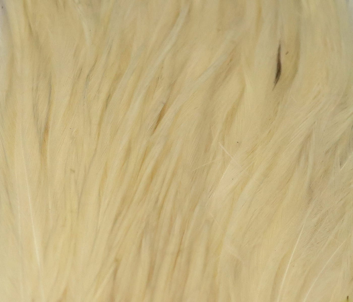 Pale cream half rooster cape feathers with soft long hackle fibers for fly tying