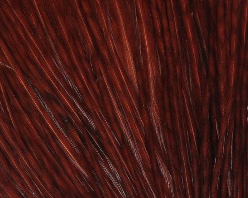 Hareline half rooster cape: deep chestnut glossy hackle feathers with long narrow strands for fly tying